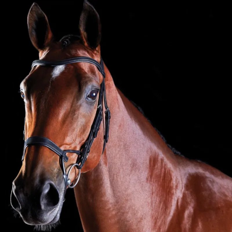 Collegiate Comfitec Training Bridle Black